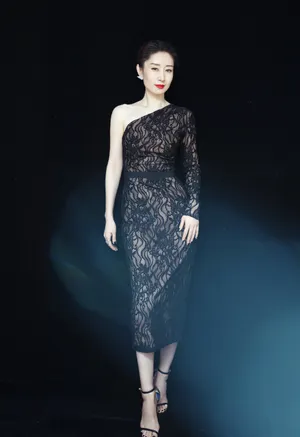 刘敏涛温婉知性写真图片_3