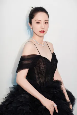 董璇性感吊带礼服写真图片