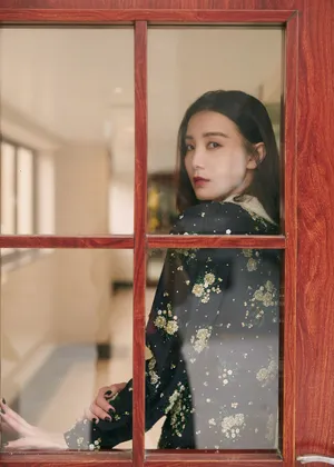 宋佳钉珠连衣裙优雅写真图片
