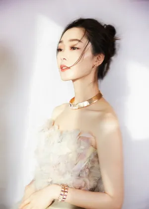 宋轶优雅性感活动照图片_11