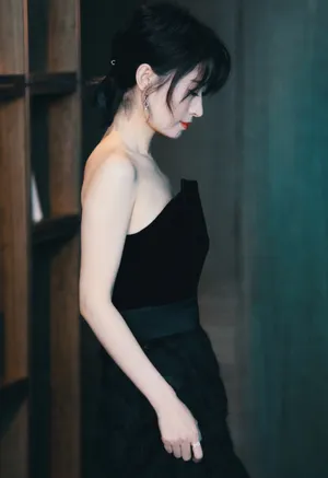 刘敏涛抹胸裙优雅性感写真图片_4