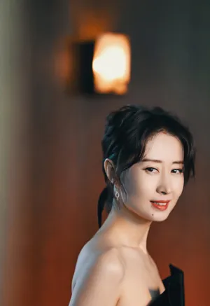 刘敏涛抹胸裙优雅性感写真图片_7