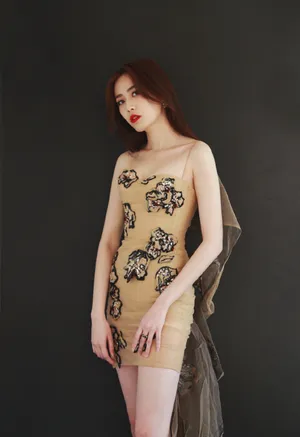 刘美彤刺绣礼服优雅写真图片