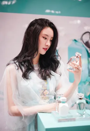 刘丁菡蓝纱礼服优雅写真图片