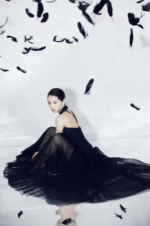 王子文黑色渔网裙性感写真图片_4