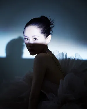 王子文鎏金纱裙优雅写真图片_7