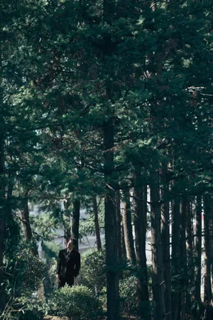 朱一龙斑驳光影山林写真图片_2