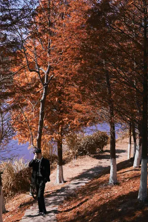 朱一龙斑驳光影山林写真图片_3