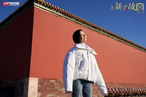 佟丽娅《上新了故宫》气质唯美图片_1