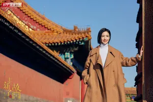 佟丽娅《上新了故宫》气质唯美图片_6