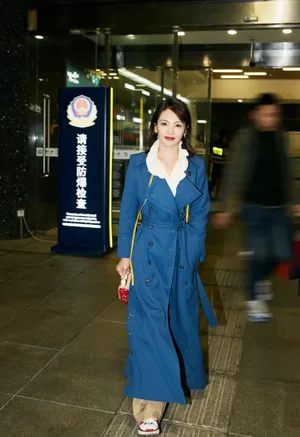 刘涛知性优雅写真图片