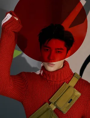 王嘉优雅绅士风写真图片_4
