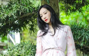 韩雪温婉柔美写真图片