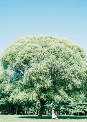 王瑛瑛清新夏日写真图片_3