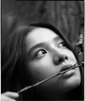 李蔓瑄张婧仪优雅写真图片