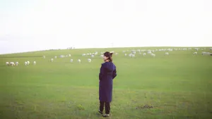 陈数清新优雅写真图片_1