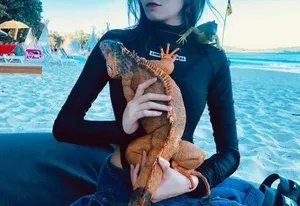 刘美彤性感优雅写真图片_2