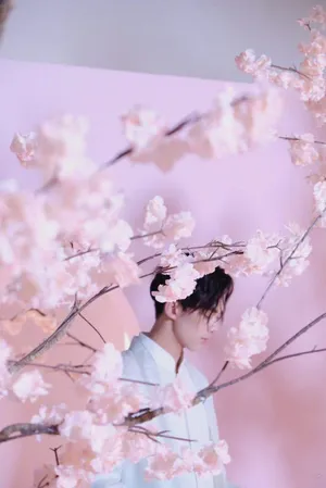 吴磊古风唯美写真图片