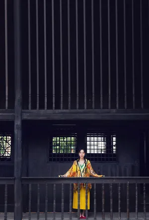 张静初异域风时尚写真大片_1