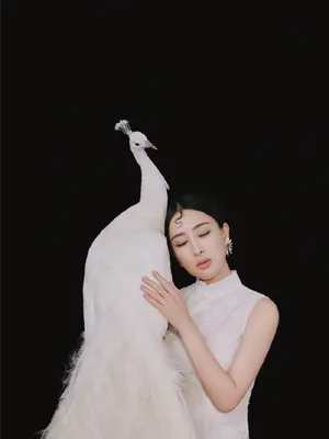 马苏性感时尚写真图片_4