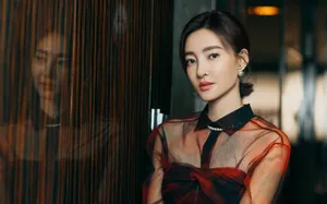 王丽坤优雅时尚写真图片