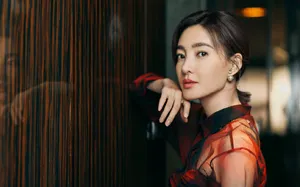 王丽坤优雅时尚写真图片_4