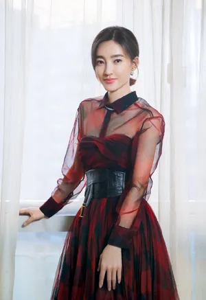 王丽坤优雅时尚写真图片_5