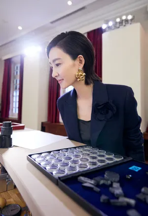 王丽坤卡地亚品牌活动图片_6