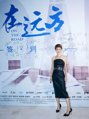 马伊琍《在远方》发布会性感图片_4