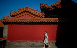 江一燕时尚优雅写真图片