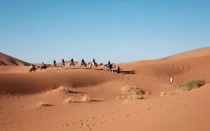 沙漠行走的骆驼图片_5