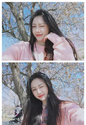 黄柳嫣樱花季唯美图片_3