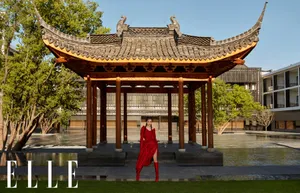 杨幂性感封面大片写真图片_4
