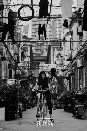 angelababy时尚优雅写真图片
