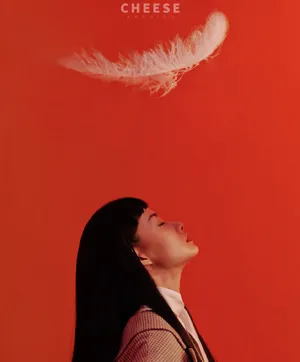柴碧云优雅时尚写真图片_3