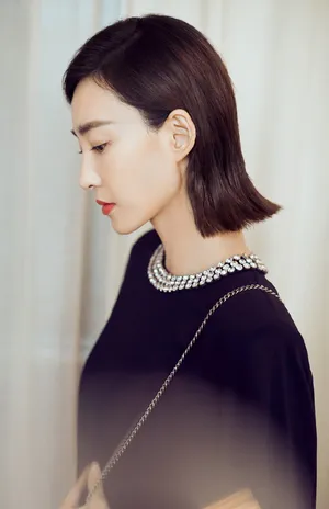王丽坤优雅大气写真图片_2