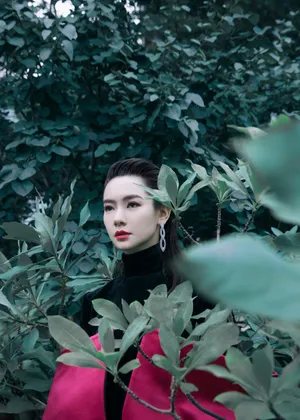 戚薇优雅性感写真图片_5