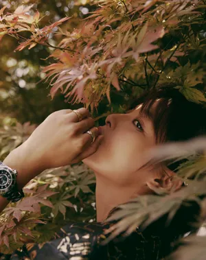 演员辛芷蕾性感活动照图片_4