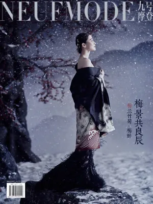 梅婷刺绣汉服复古封面写真图片_2