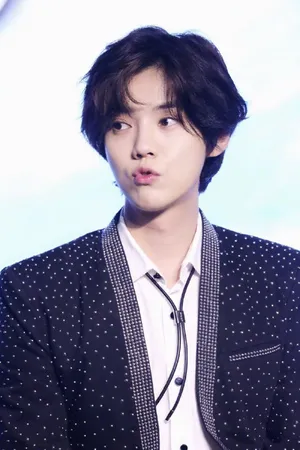 鹿晗《上海堡垒》发布会图片