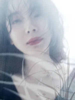 陈数知性优雅大片写真图片_8