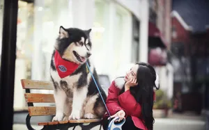 刘丁菡温暖性感写真图片_13