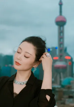 陈红高雅气质写真图片_7
