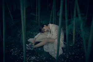 海清唯美中国风竹林写真图片_3