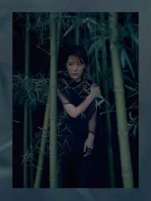 海清唯美中国风竹林写真图片_7