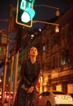 李梦复古刺绣裙优雅写真图片_5