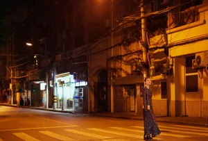 李梦复古刺绣裙优雅写真图片_8