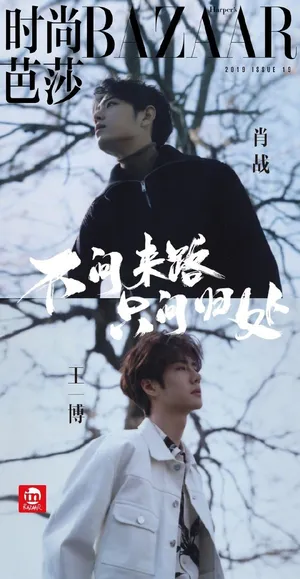 肖战王一博合体时尚大片写真图片_5