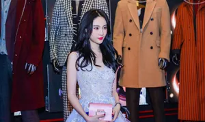 刘丁菡紫色礼服性感活动照图片_11