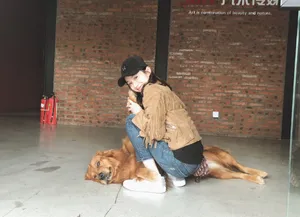 陆妍淇清新俏皮生活照图片_4